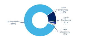 ICT Company Size
